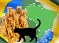 Бразилия: Социальная помощь для кота