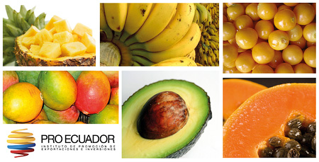 Fruits and vegetables from Ecuador