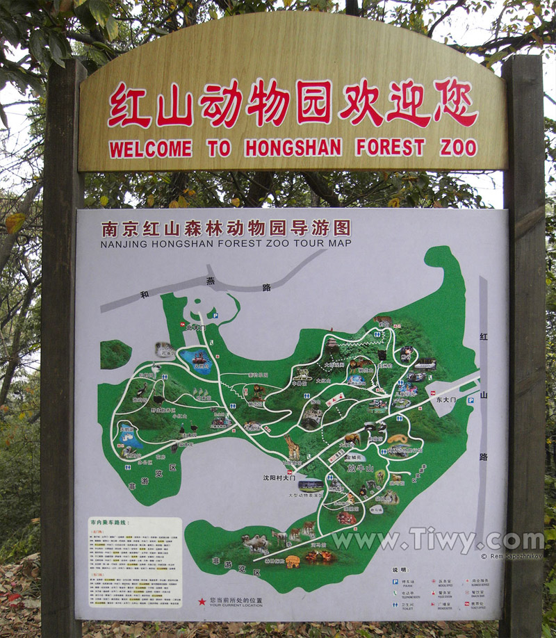 Mapa del Nanjing Hongshan Forest Zoo