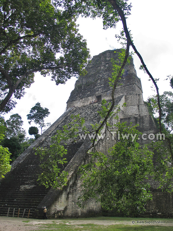 The Temple V, Tikal, Guatemala