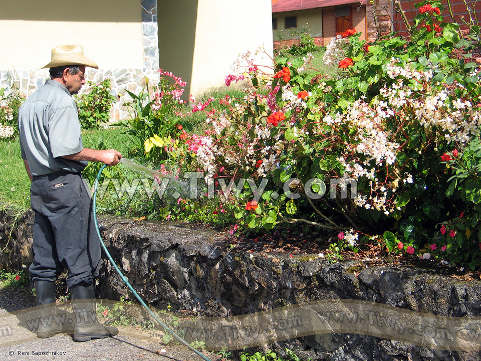 Gardener near the Hotel Santo Domingo, Merida, Venezuela