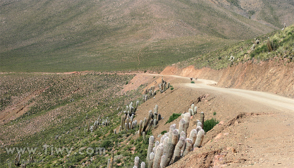 El camino de Uyuni a Potosí