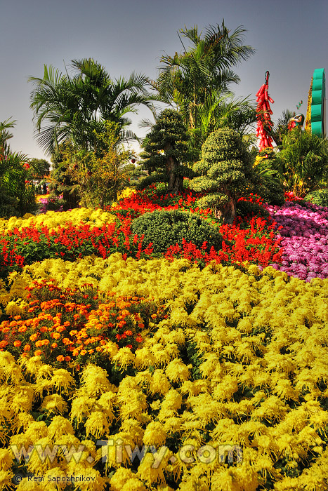 Парк утопает в разлившемся море цветов