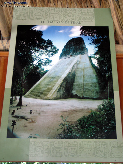 The Temple V, Tikal, Guatemala