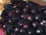 Violet (but as for me - it is black) corn