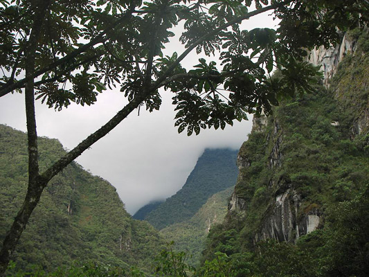 Landscape in Aguas Calientes