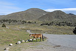 Parque Nacional «Sierra Nevada»