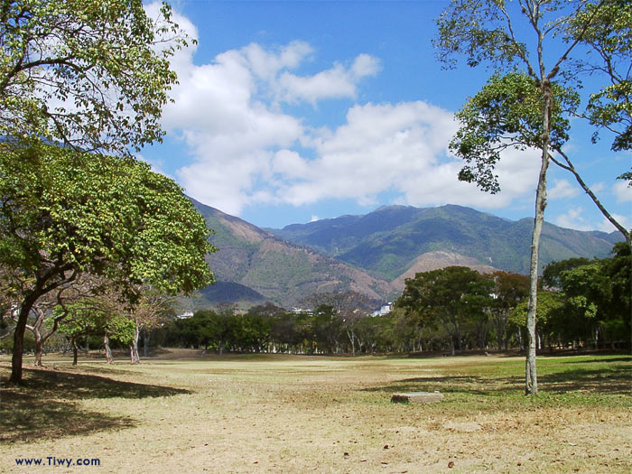 Parque del Este, Caracas