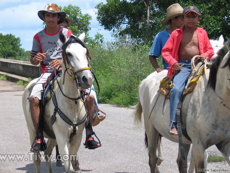Llaneros  Venezuelan cowboys